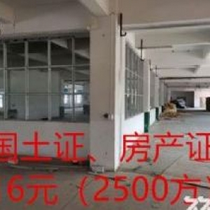 清远园林式厂房，独门独院，2吨货梯，证件齐全