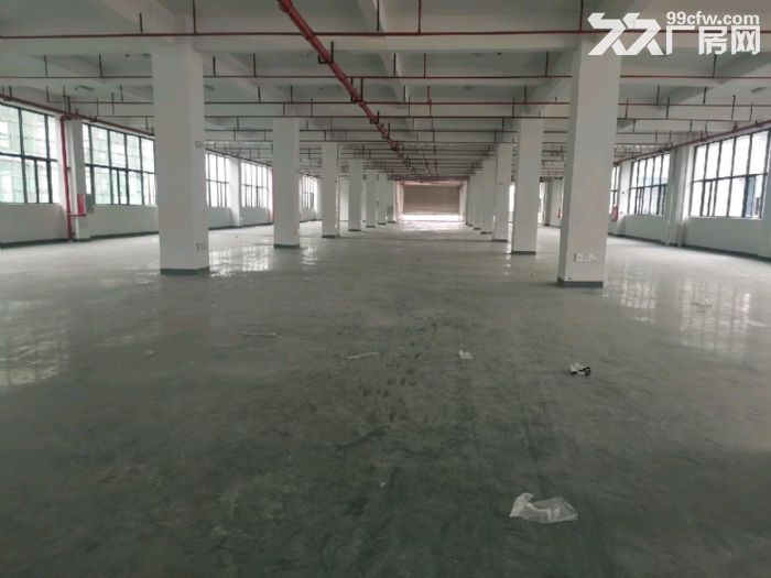 高新区（带化妆品环评）每层四千方可做美妆生物科技食品电子-图2