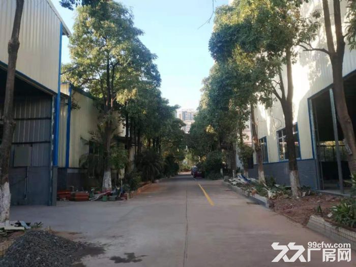 清远园区（1千一5万方工业厂房分租,电大,环境好）可办环评-图2