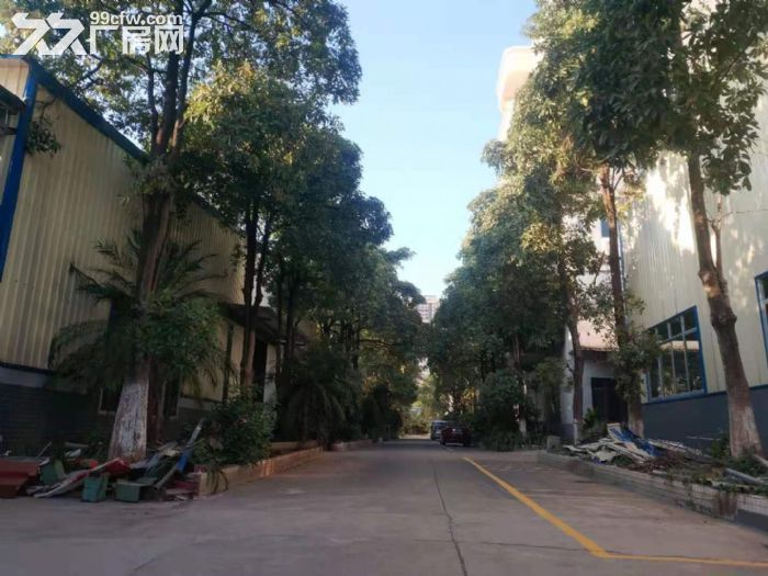 清远园区（1千一5万方工业厂房分租,电大,环境好）可办环评-图3