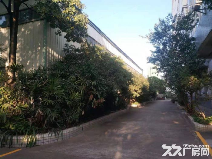 清远园区（1千一5万方工业厂房分租,电大,环境好）可办环评-图8