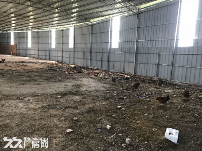1000至30000车间 租8元一方(世联行 不收取费用)-图6