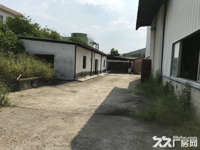高新区 独门独院 5000方厂房 (世联行 不收取费用）-图7