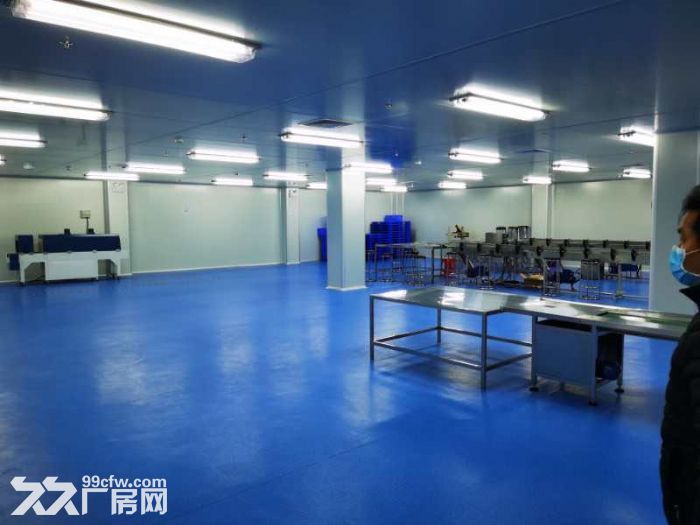 出租厂房可分租，业主直招-图8
