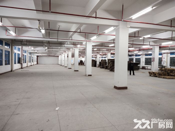 清远厂房高新区2000方园林仓库宿舍饭堂办公楼配套齐全