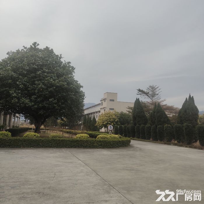 小独栋，花园式厂房出租，交通便利