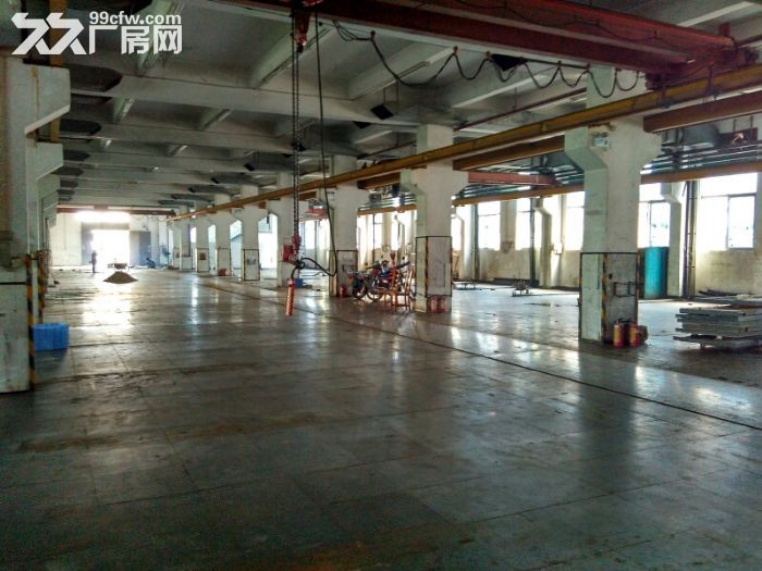 5060㎡ 标准电梯厂房招租首层6.5米,可装天车-图8