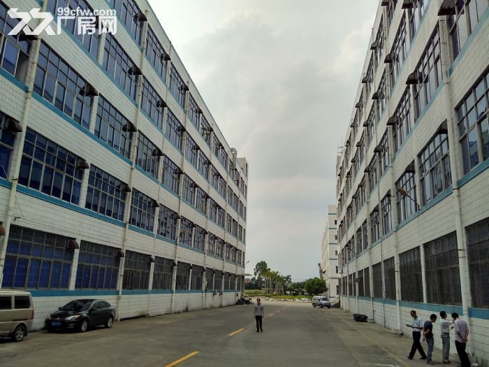 5060㎡ 标准电梯厂房招租首层6.5米,可装天车-图6