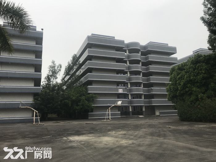 清远毗邻花都220亩独门独院花园式厂房适合多行业