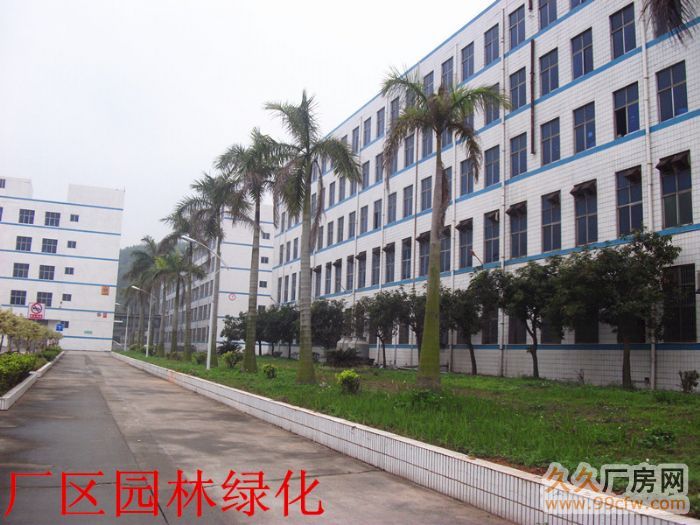大型园区各类厂房配套齐全即租即用6−12元/方-图4