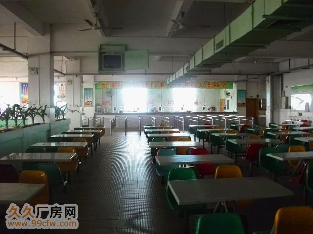 广−清高新区大量优质框架、钢架厂房仅6−9元/方-图7