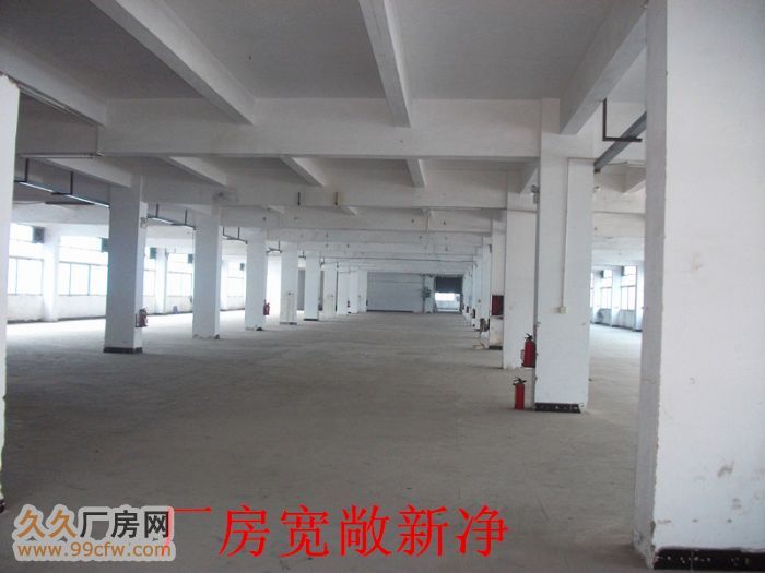 清远大型工业园1−5千方标准电梯厂房即租即用-图3