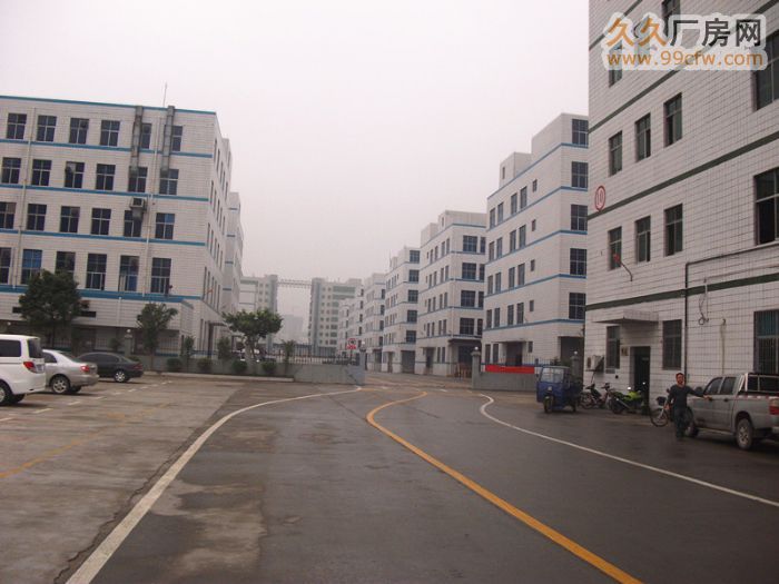 清远广清高速出口2500方一楼标准框架厂房出租-图2