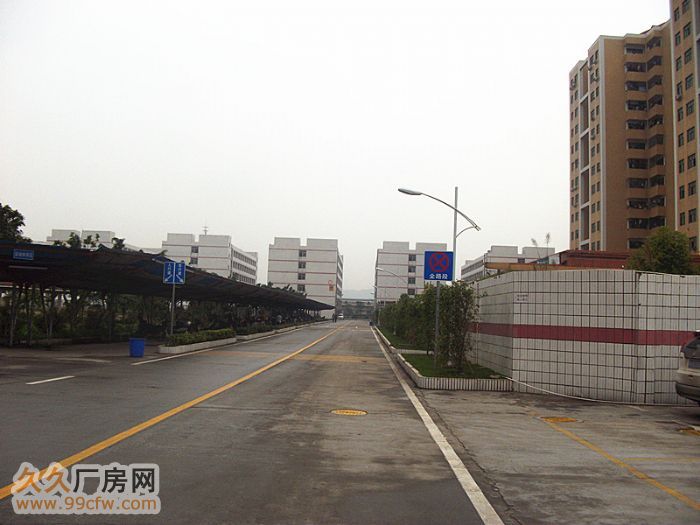 清远广清高速出口2500方一楼标准框架厂房出租-图3