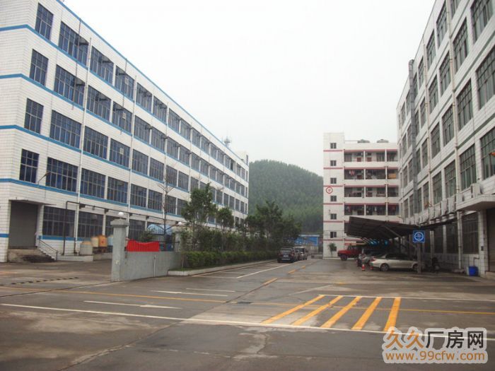 清远广清高速出口2500方一楼标准框架厂房出租-图4