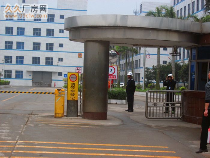 清远广清高速出口2500方一楼标准框架厂房出租-图6