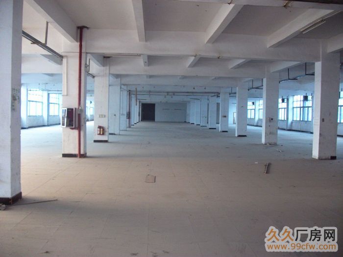 清远广清高速出口2500方一楼标准框架厂房出租-图7