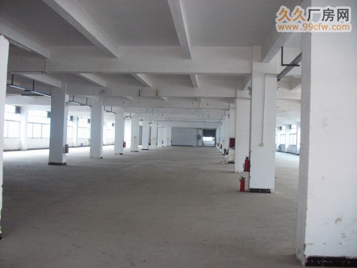 清远广清高速出口2500方一楼标准框架厂房出租-图8