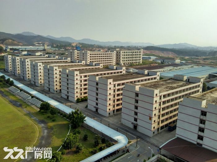 8800㎡ 标准电梯厂房招租,首层6.5米,可装天-图8