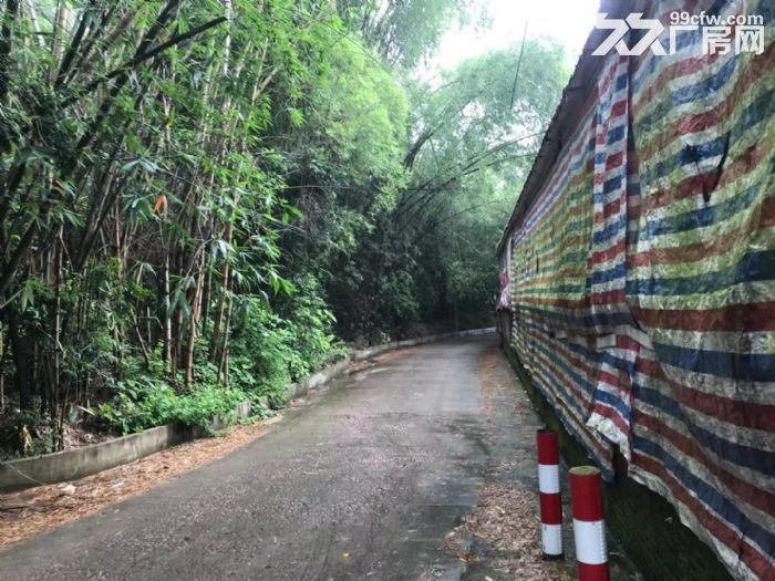横河（480方小厂房，带200方宿舍）租金5000-图6